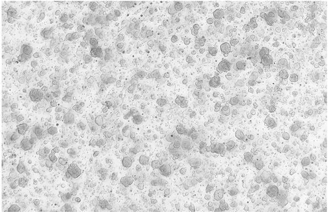 产品细节图片12