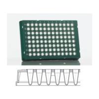 FrameStar96孔裙边PCR板系列产品