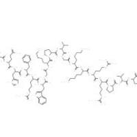 促肾上腺皮质激素片段 (1-24),人