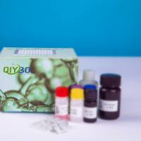 兔zeta相关蛋白70(ZAP70)ELISA测试盒