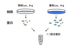 技术资料图片2