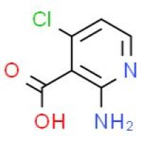 2-氨基-4-氯-3-吡啶甲酸