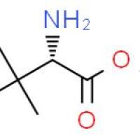 L-TERT-亮氨酸甲酯