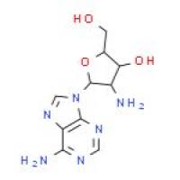 2'-氨基-2'-脱氧腺苷