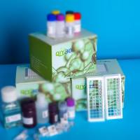 兔趋化因子C-C-基元配体1(CCL1/TCA-3)ELISA测试盒