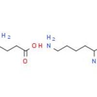 L-赖氨酸-L-谷氨酸