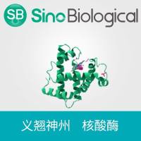 Salt Active SuperNuclease