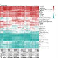 全面蛋白质（多因子）检测服务
