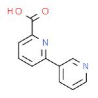 [2,3'-联吡啶]-6-羧酸