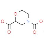 2,4-吗啉二羧酸 4-叔丁酯 2-乙酯
