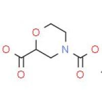 2,4-吗啉二羧酸 4-叔丁酯 2-乙酯
