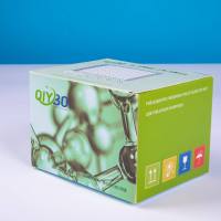 兔S100钙结合蛋白A8(S100A8)ELISA测试盒