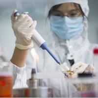  文稿专业翻译（威斯腾生物-中关村生物医学研发检测共享平台！）