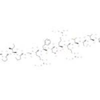 神经储钙蛋白基质