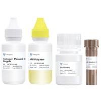 M&R HRP/DAB Detection IHC Kit（HC301）