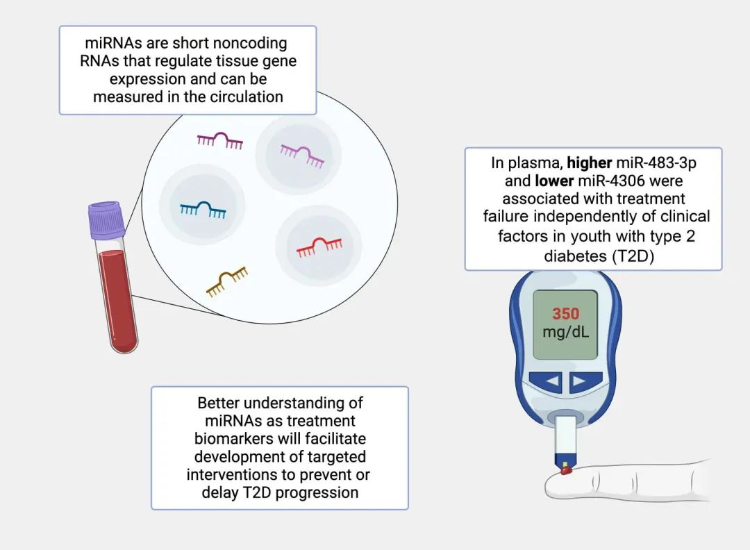 miRNA研究进展盘点丨20240108期