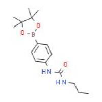 4-(3-丙基脲)苯基硼酸频哪醇酯