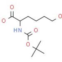 N-BOC-6-羟基-DL-正亮氨酸甲酯