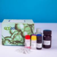 兔凝集素样氧化低密度脂蛋白受体1(LOX-1)ELISA测试盒