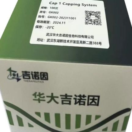 Cap 1 Capping System Kit(100T)