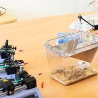 动物持续灌流给药系统