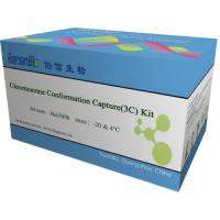 3C试剂盒