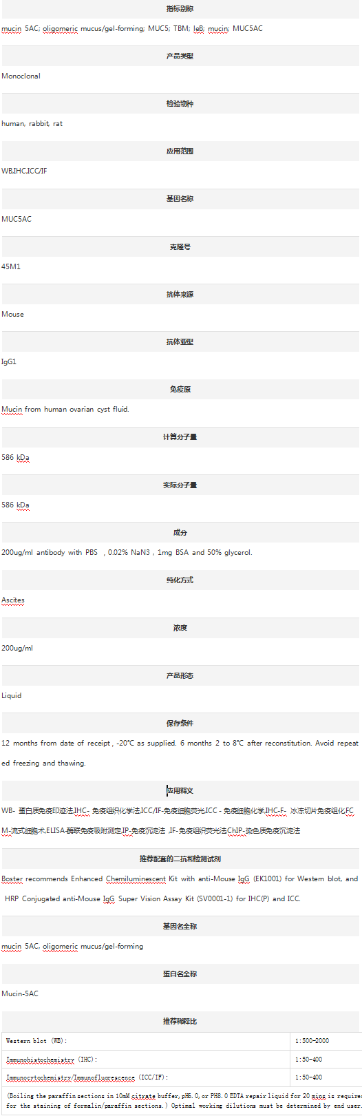 Anti-MUC5AC Antibody (Clone#45