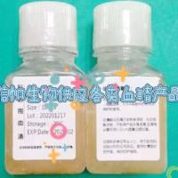 标准-绵羊血清(无菌)