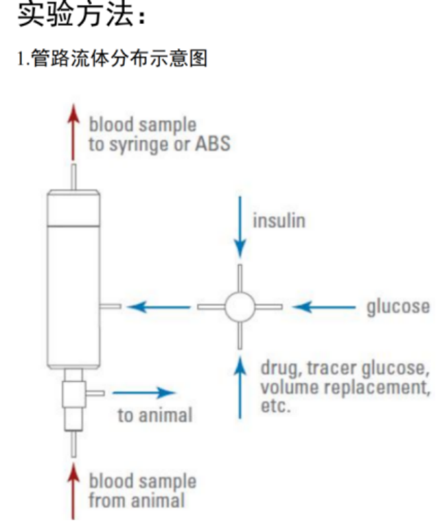 动物葡萄糖钳夹系统