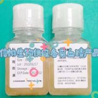 标准-猪血清(无菌)