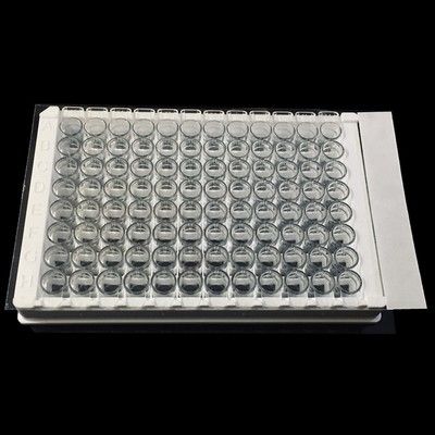 粘型封板膜,137mm×81mm,100张/盒