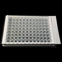 粘型封板膜，137mm×81mm，100张/盒