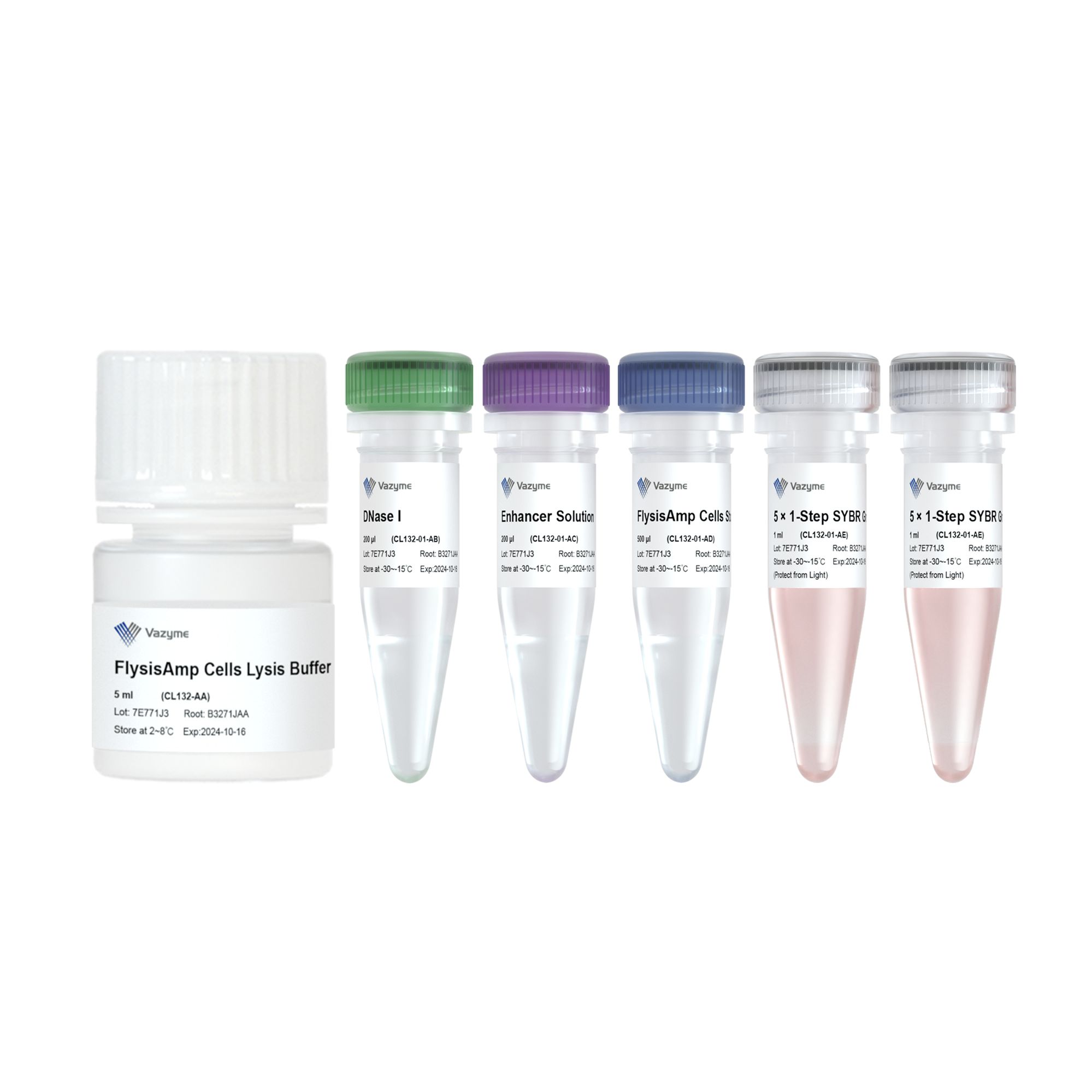 FlysisAmp Cells-to-CT 1-Step SYBR Green Kit(CL132)