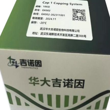 Cap 1 Capping System Kit（10T）