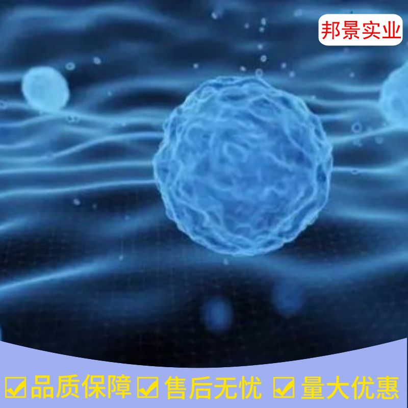 COV362细胞产品图