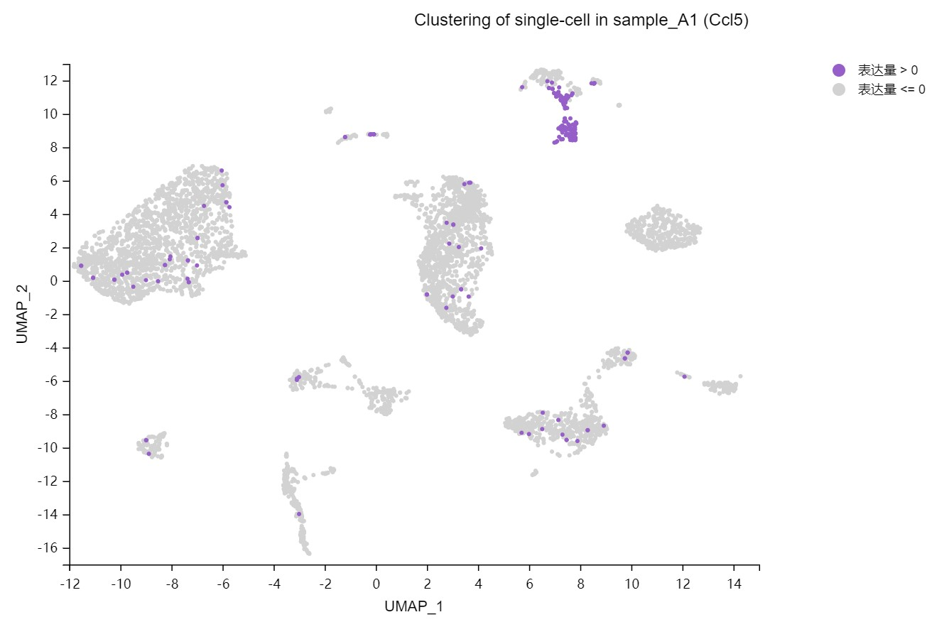 华大科技 Dr. Tom 家族