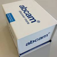 重组Anti-Myeloperoxidase抗体