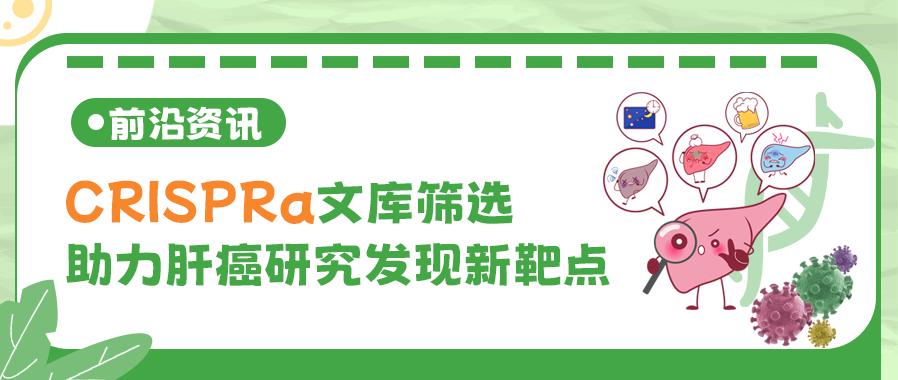 【前沿资讯】CRISPRa文库筛选助力肝癌研究发现新靶点