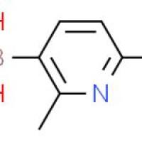 6-氯-2-甲基砒啶-3-硼酸