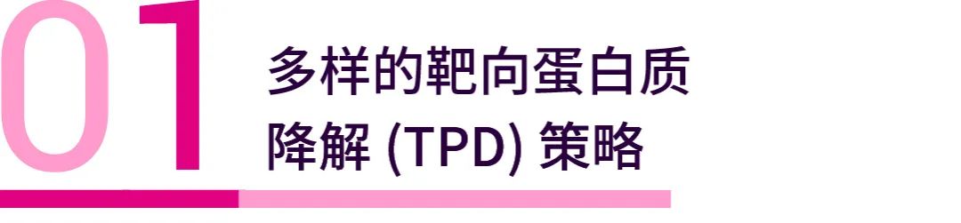 多样的靶向蛋白质降解(TPD)策略 - MedChemExpress