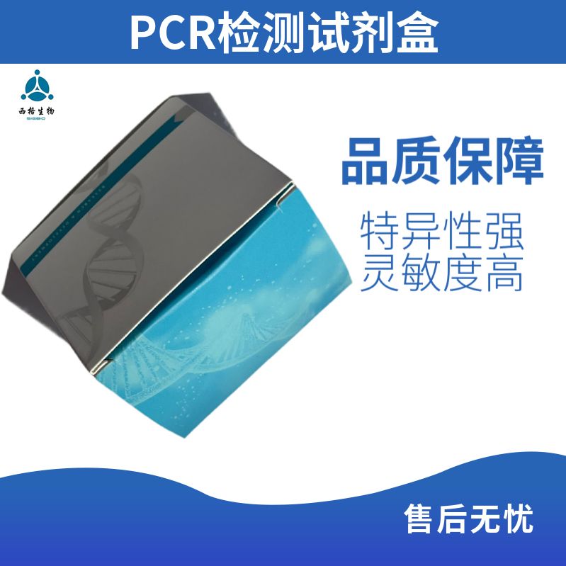 PCR产物纯化回收试剂盒