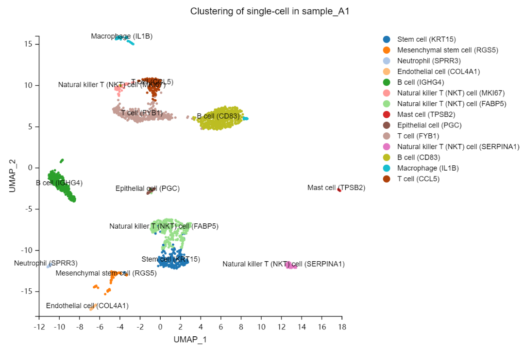 华大科技 Dr. Tom 家族