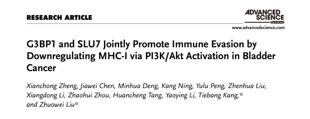 Adv Sci丨中大肿瘤中心团队发现G3BP1和SLU7共同促进膀胱癌免疫逃避的机制