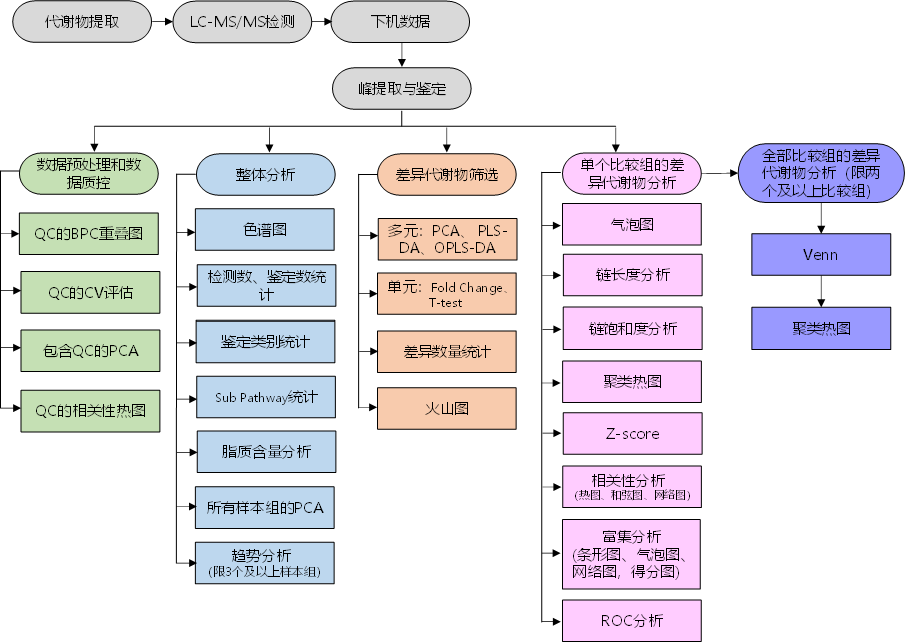 华大科技  Dr. Tom 家族