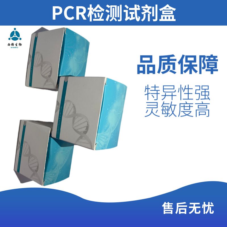 qPCR MasterMix(Probe)  探针法qPCR荧光定量Mix