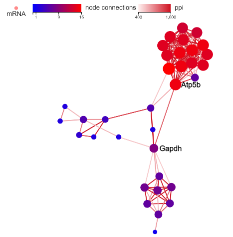 华大科技 Dr. Tom 家族