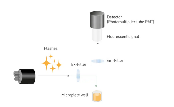 如何获得更好的数据？一文了解5个酶标仪使用贴士
