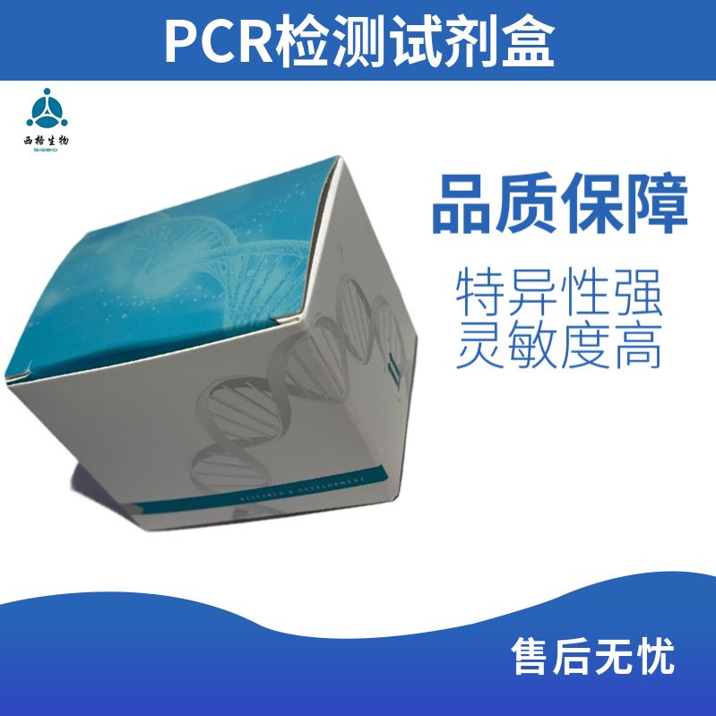 2×Taq PCR MasterMix( 不含染料 )