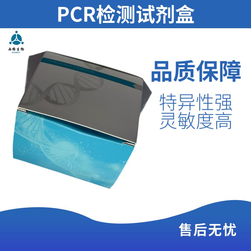 产品封面图