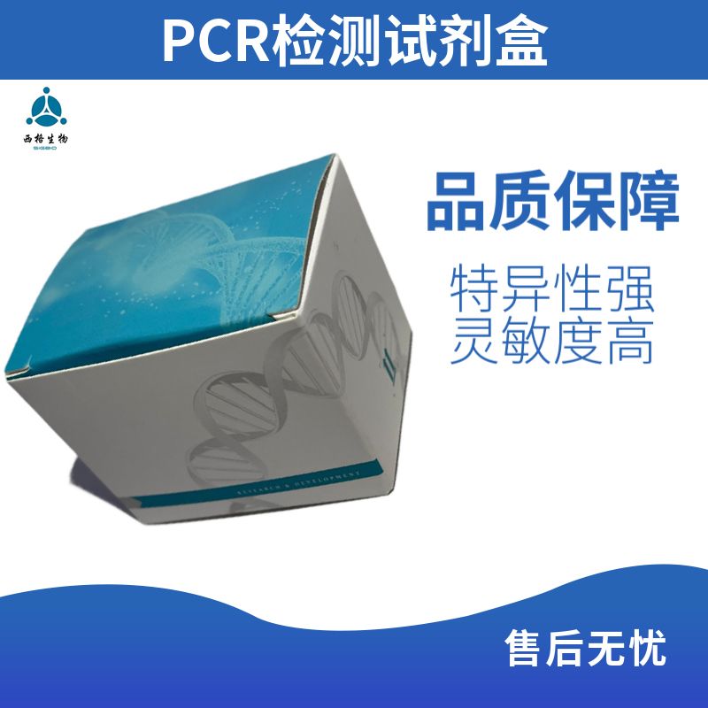 超级多重荧光定量PCR试剂盒（探针）